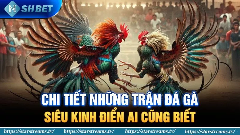 Abcvip Games cung cấp các trò chơi thể thao - Abcvip